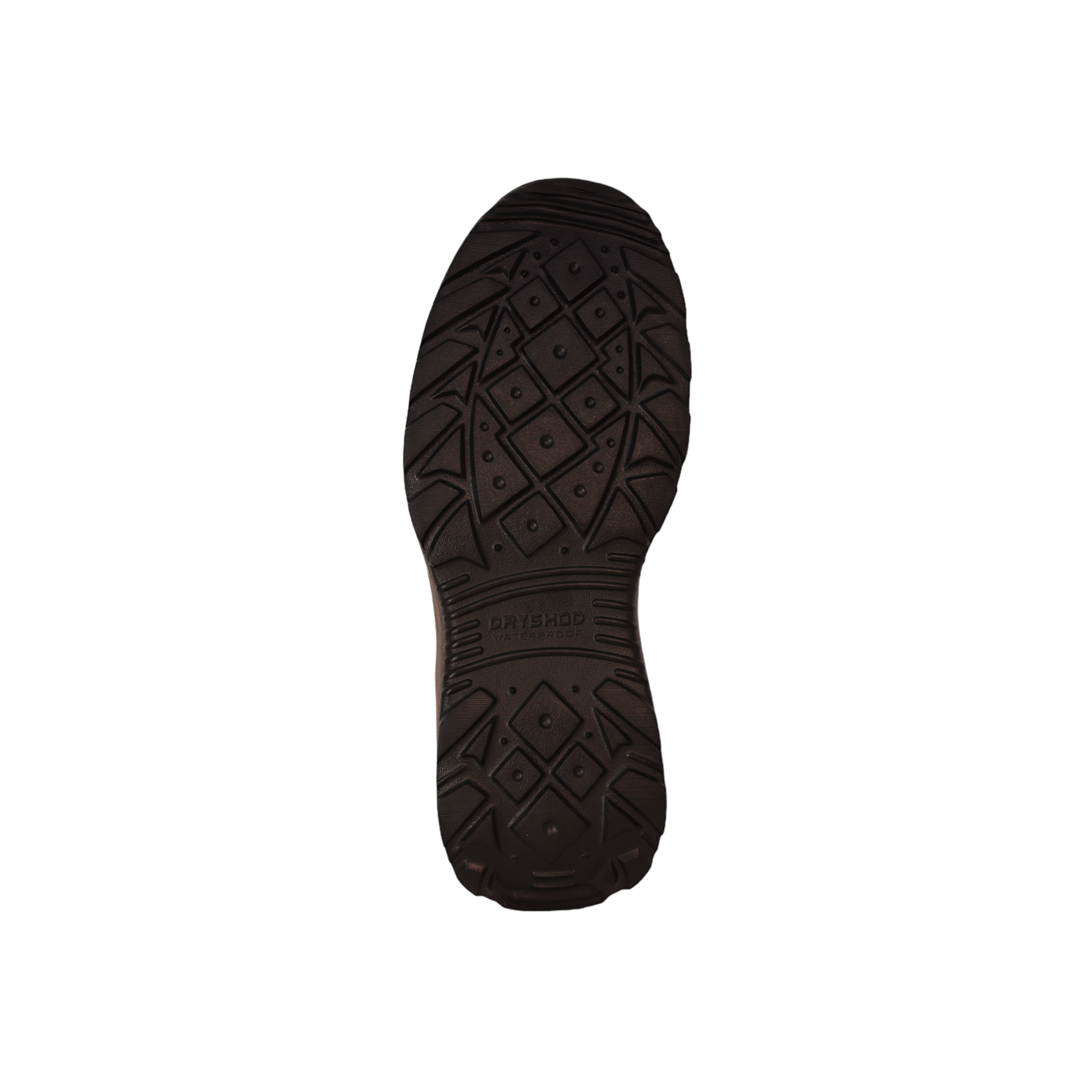 Men's Evalusion Shoe Brown